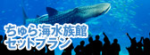 美ら海水族館