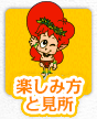 楽しみ方と見所