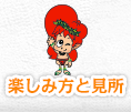 楽しみ方と見所