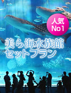 美ら海水族館セットプラン