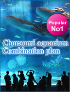 Churaumi Aquarium combination plan