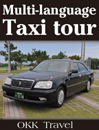 Multi-language Taxi tour