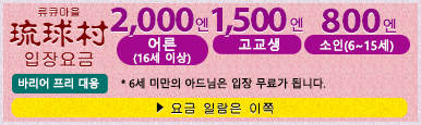 류큐 마을 입장료