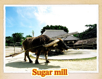 Sugar mill