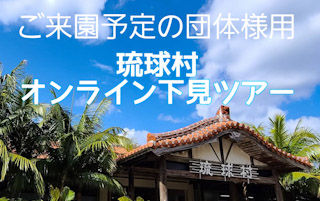 沖縄観光は琉球村 沖縄観光テーマパーク 琉球村 オフィシャル 沖縄観光は琉球村 沖縄観光テーマパーク 琉球村 オフィシャル