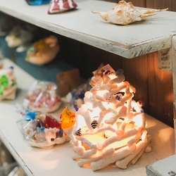 芸能・生活文化体験　製作珊瑚燈　製作珊瑚燈體驗