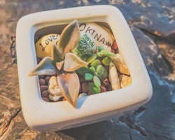 芸能・生活文化体験 Jar Pot Gardening