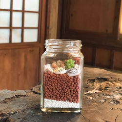 芸能・生活文化体験 Jar Pot Gardening