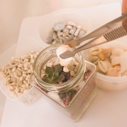 芸能・生活文化体験 Jar Pot Gardening
