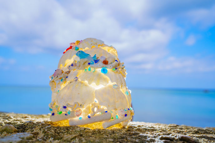 芸能・生活文化体験　산호 램프 만들기